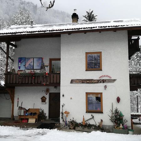 Appartamento Haus Muehlbichl Finkenberg Esterno foto